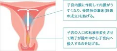 図2